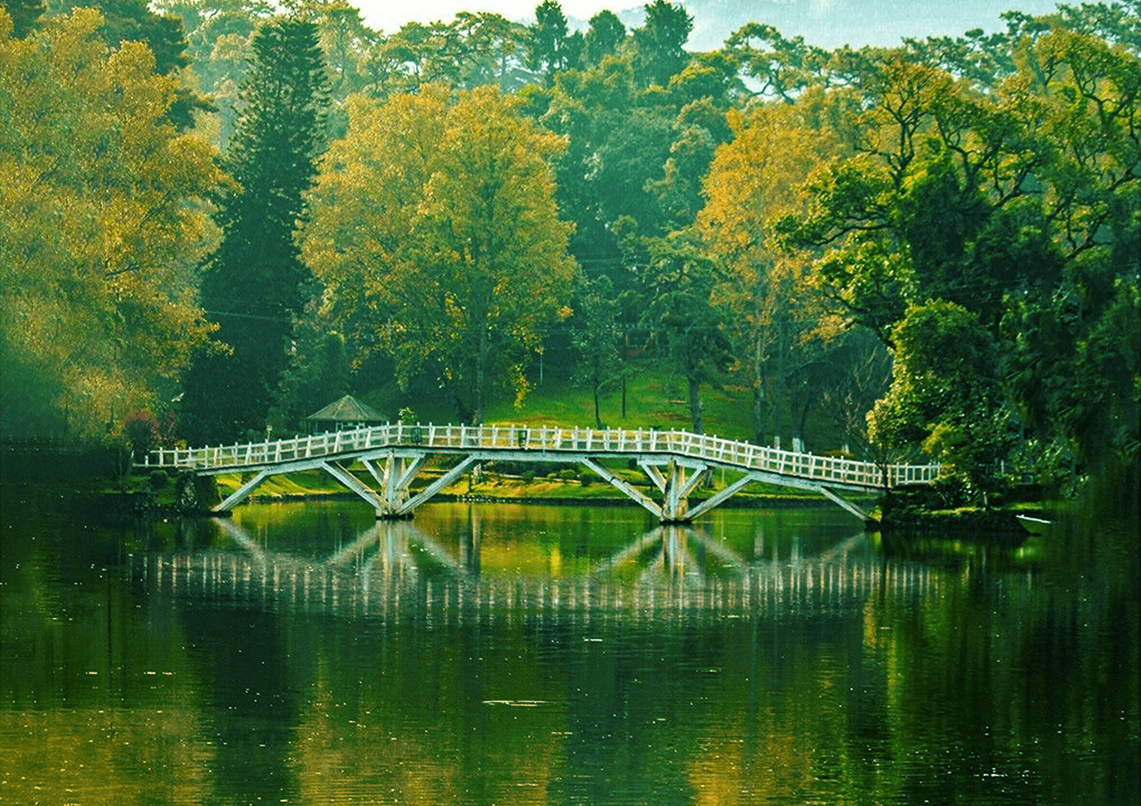 Ward’s Lake, Shillong